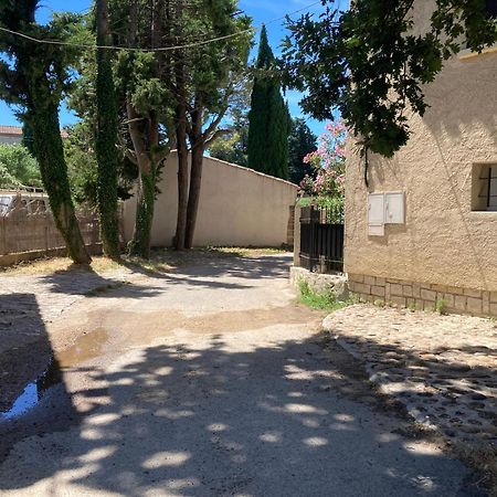 Le Studio D Aurelie Avec Spa Ete En Pleine Campagne Et Proche De Toute Commodite Roquemaure  Exterior photo